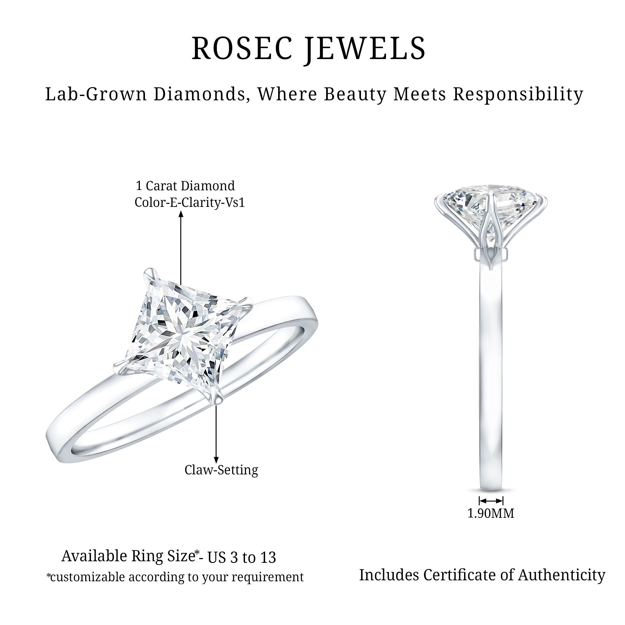 1 Carat Lab Created Diamond Princess Cut Engagement Ring IGI Certified Lab - ( E-VS1 ) - Rosec Jewels