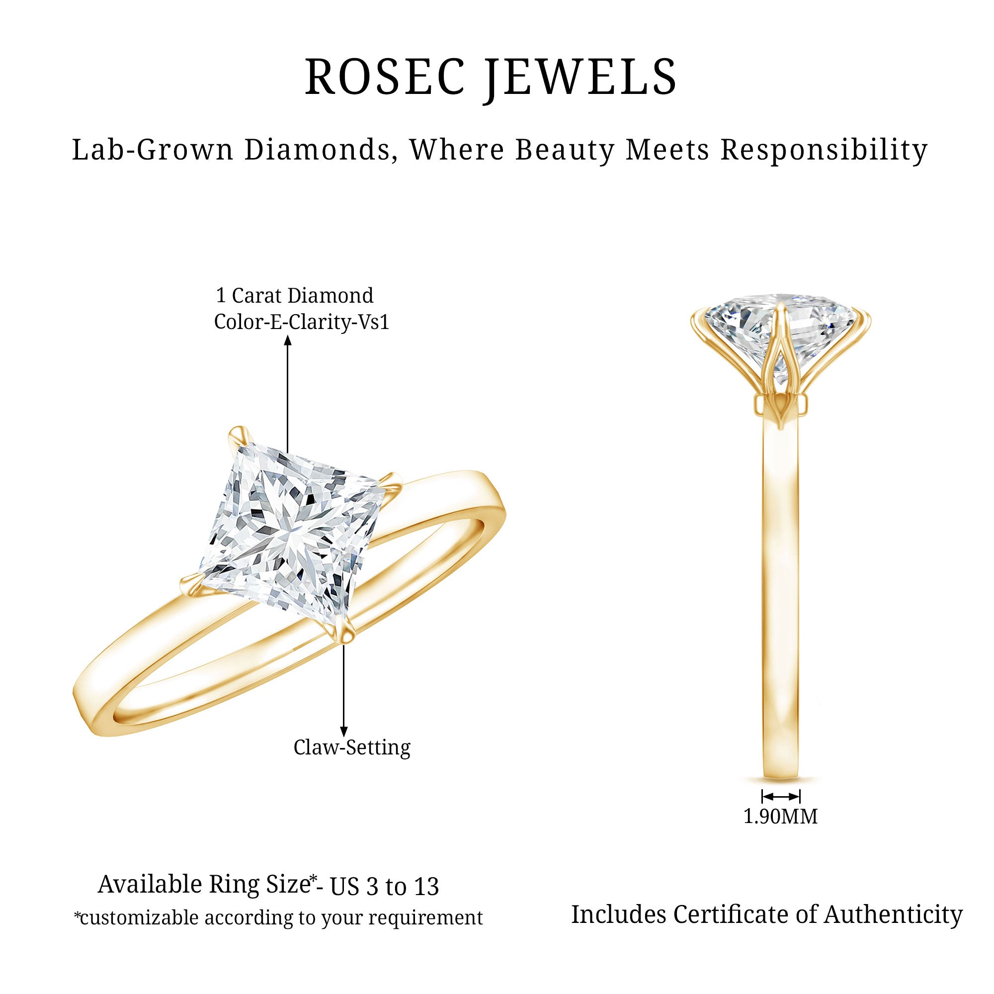 1 Carat Lab Created Diamond Princess Cut Engagement Ring IGI Certified Lab - ( E-VS1 ) - Rosec Jewels