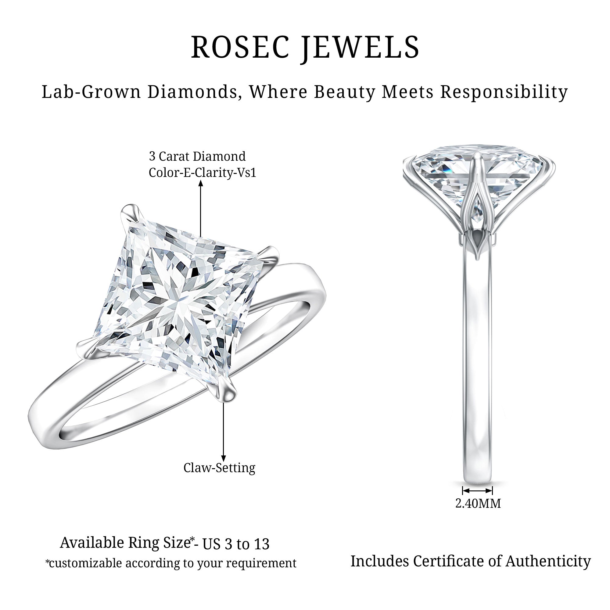 IGI Certified Lab Grown Diamond 3 Carat Princess Cut Engagement Ring Lab - ( E-VS1 ) - Rosec Jewels