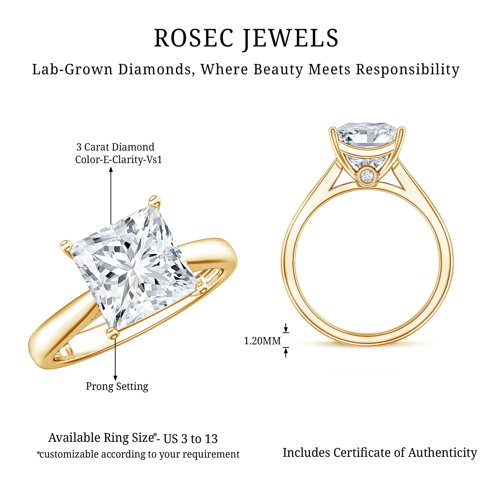 IGI Certified Lab Grown 3 Carat Diamond Princess Cut Engagement Ring Solitaire Lab - ( E-VS1 ) - Rosec Jewels
