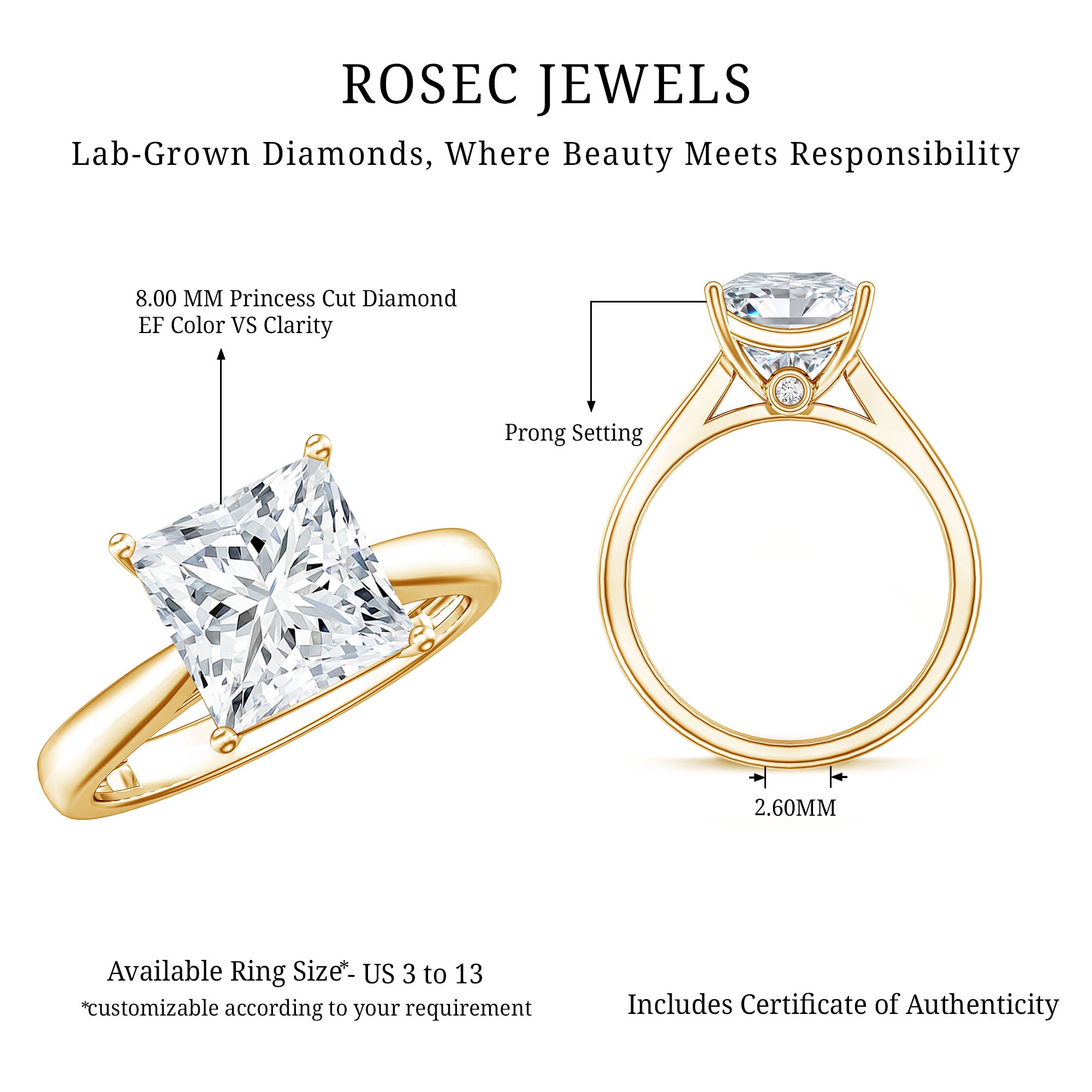 IGI Certified Lab Grown 3 Carat Diamond Princess Cut Engagement Ring Solitaire Lab - ( E-VS1 ) - Rosec Jewels
