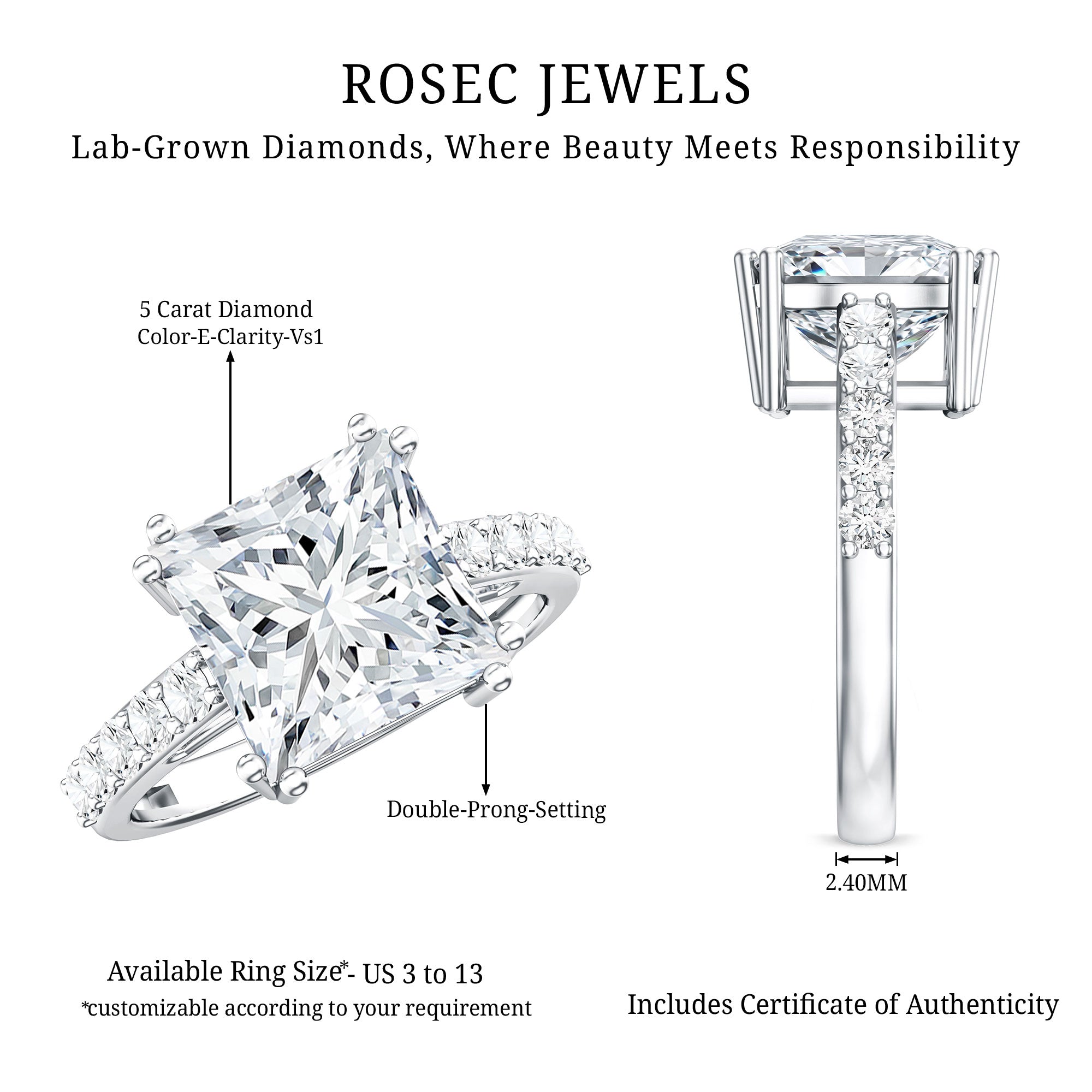 IGI Certified Princess Cut Lab Grown Diamond 5 Carat Engagement Ring with Side Stones Lab - ( E-VS1 ) - Rosec Jewels