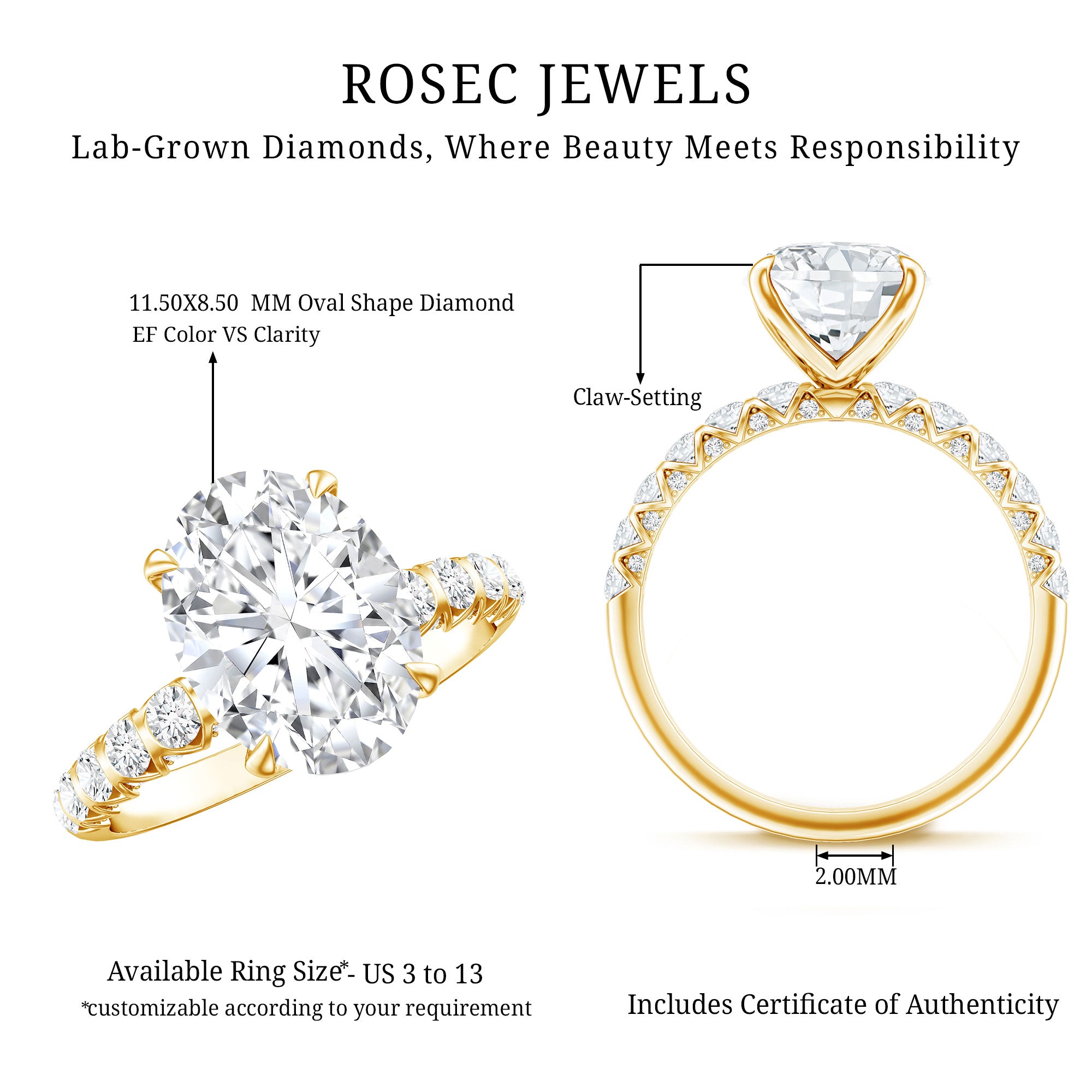 Rosec Jewels-Lab Grown Diamond Oblong Engagement Ring 3 Carat with IGI Certificate