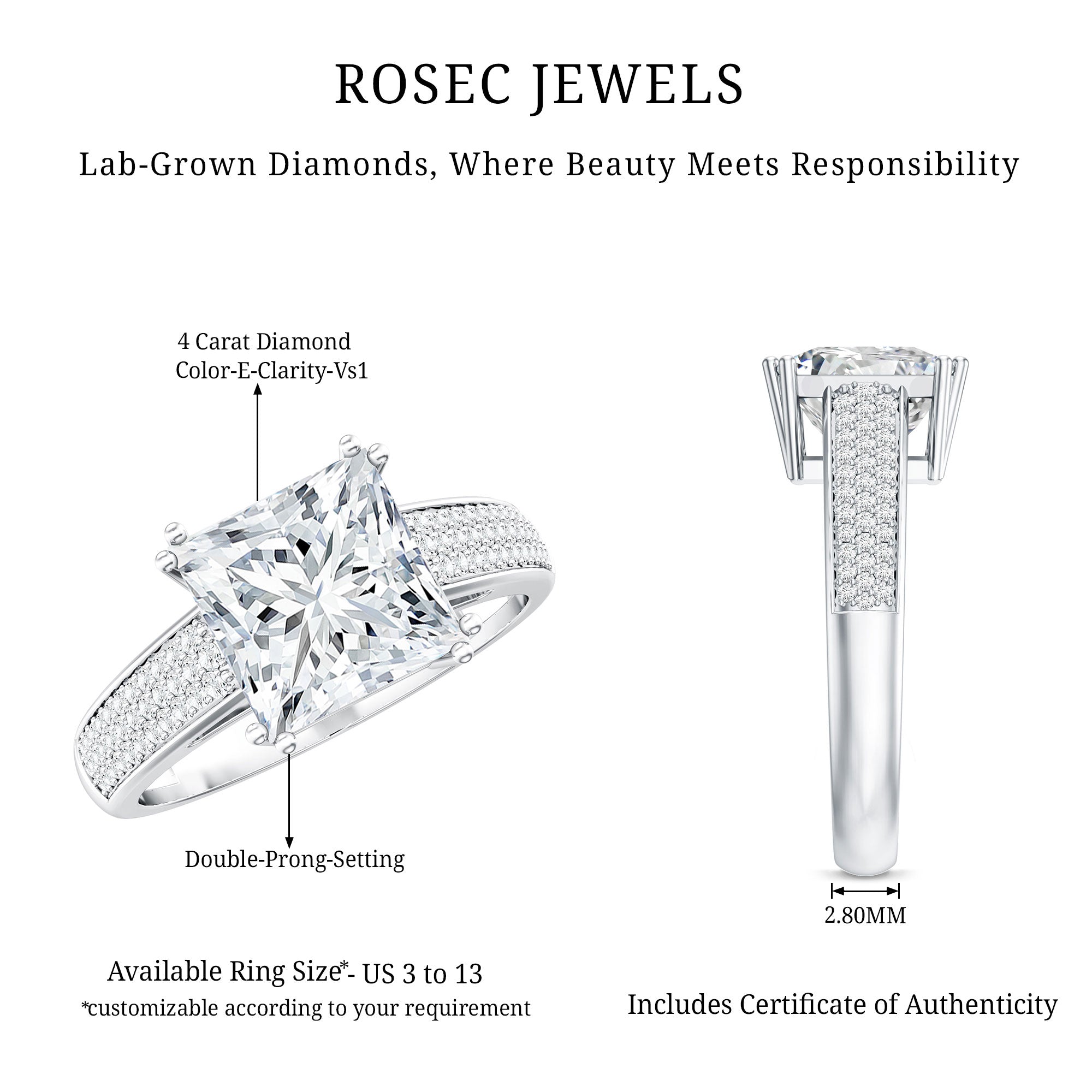 IGI Certified Princess Cut Lab Grown Diamond 4 Carat Engagement Ring with Side Stones Lab - ( E-VS1 ) - Rosec Jewels