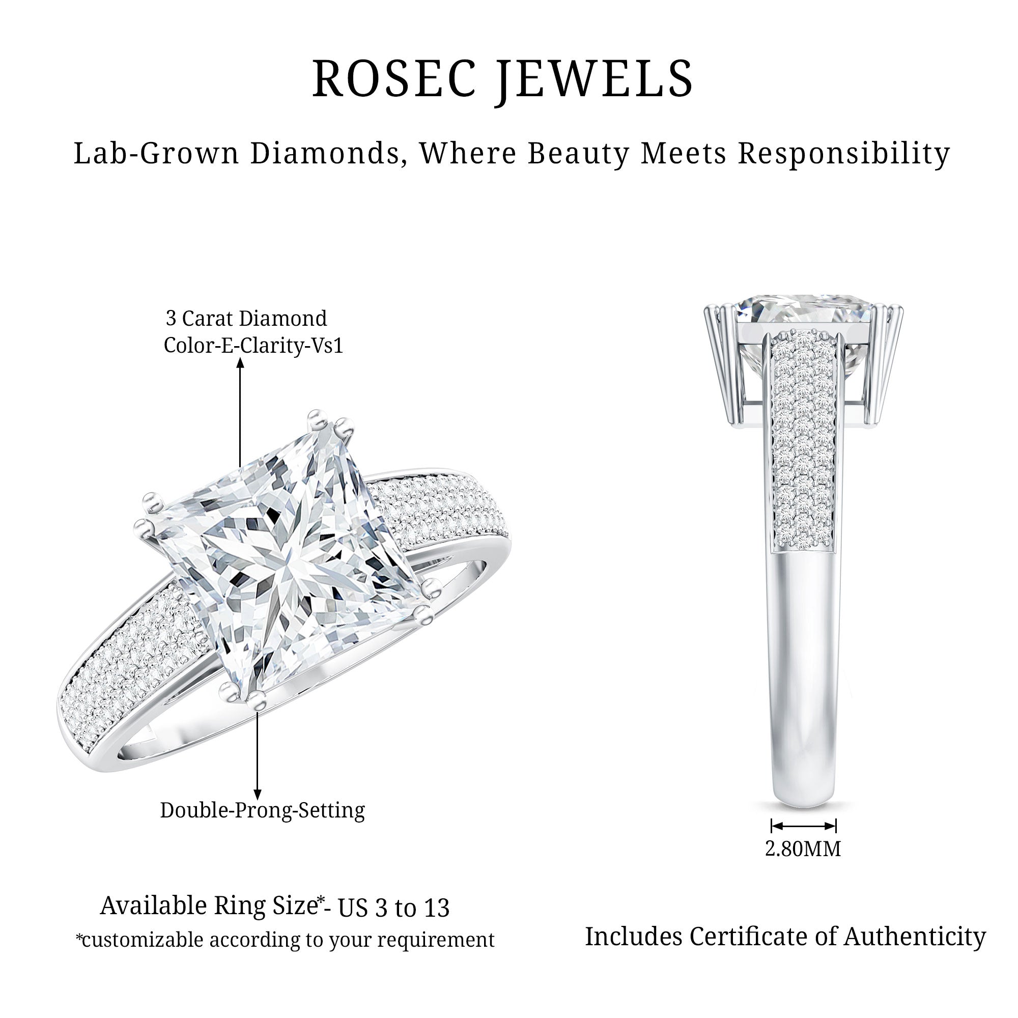 IGI Certified 3 Carat Princess Cut Lab Grown Diamond Engagement Ring with Side Stones Lab - ( E-VS1 ) - Rosec Jewels