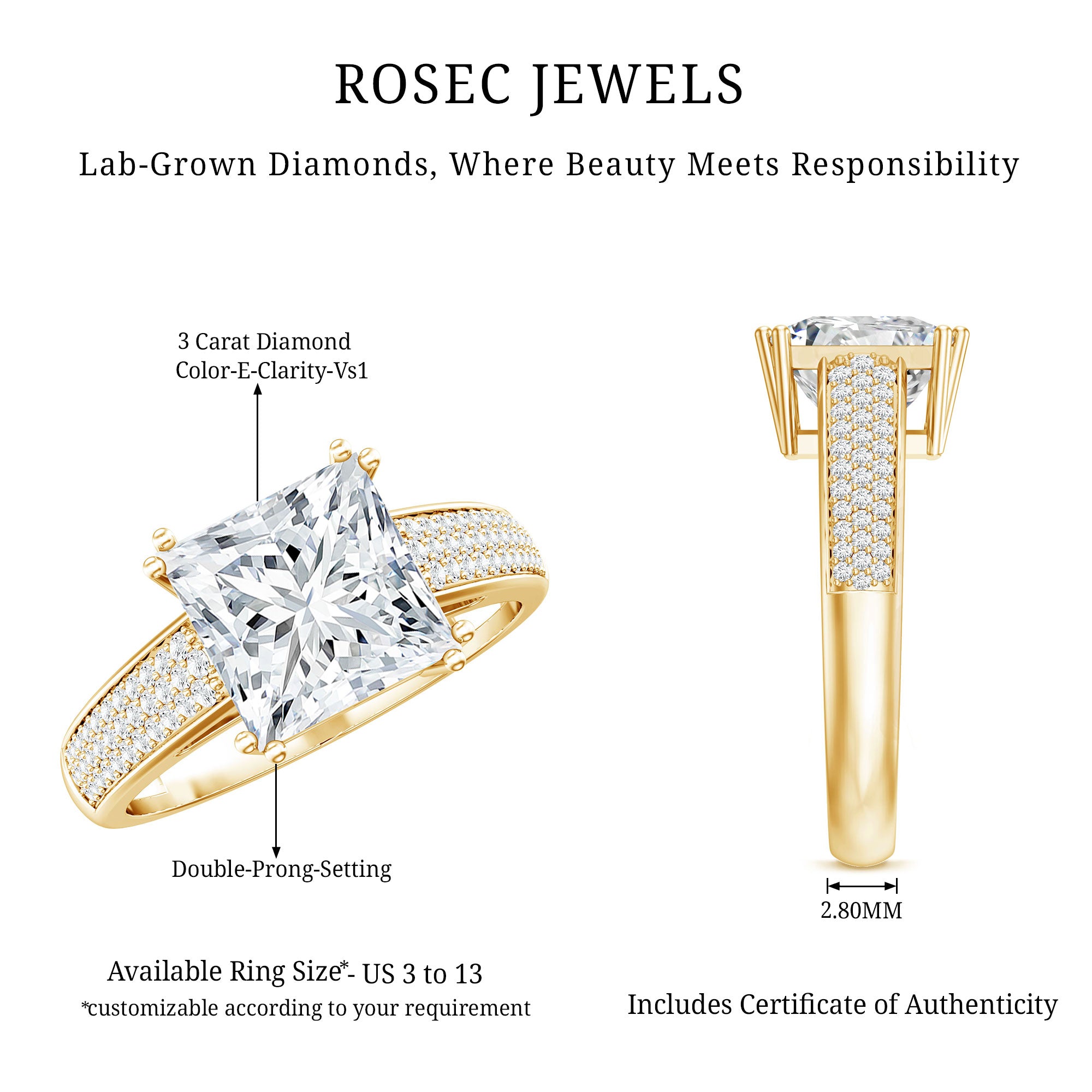 IGI Certified 3 Carat Princess Cut Lab Grown Diamond Engagement Ring with Side Stones Lab - ( E-VS1 ) - Rosec Jewels