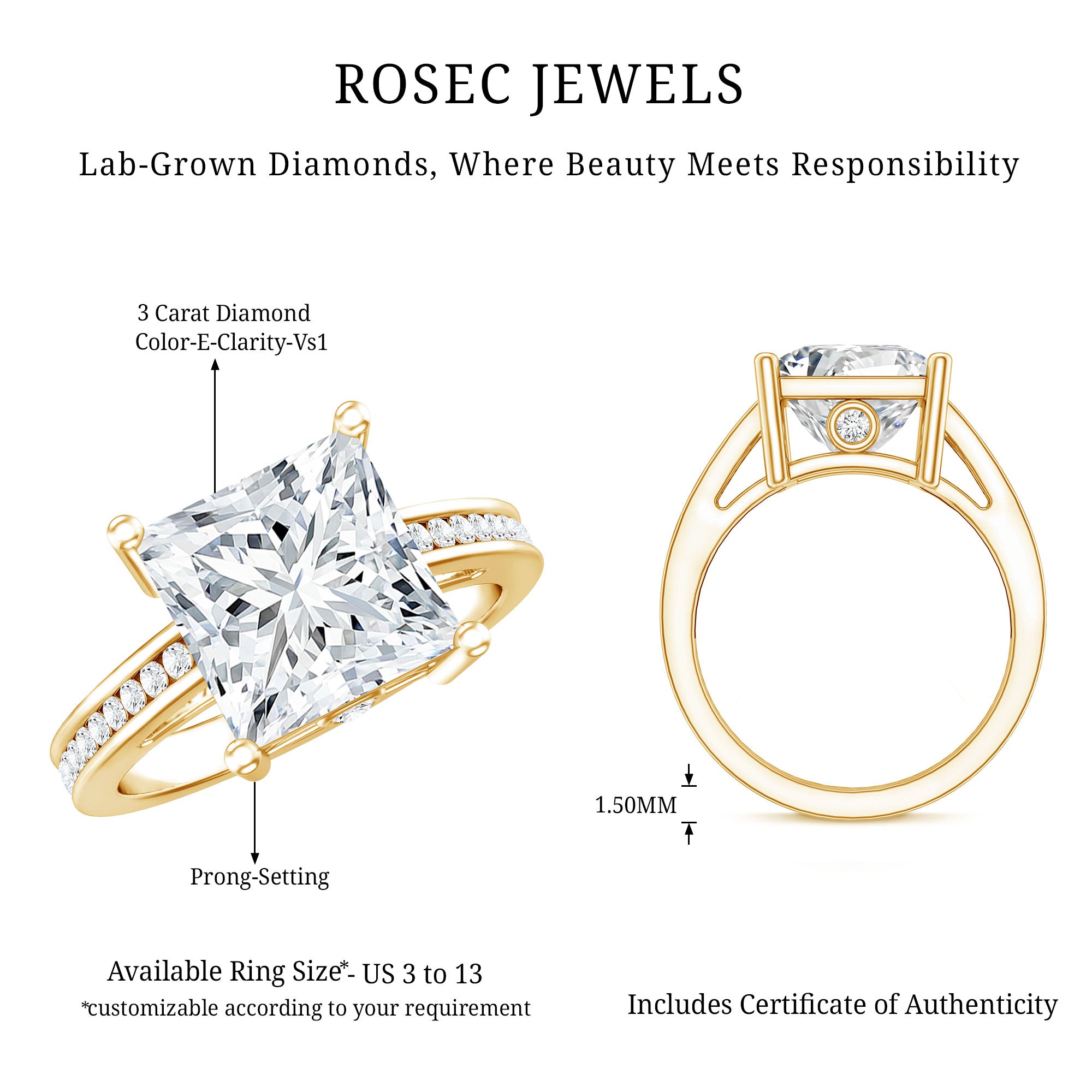 IGI Certified Lab Grown Diamond 3 Carat Engagement Ring with Side Stones Lab - ( E-VS1 ) - Rosec Jewels