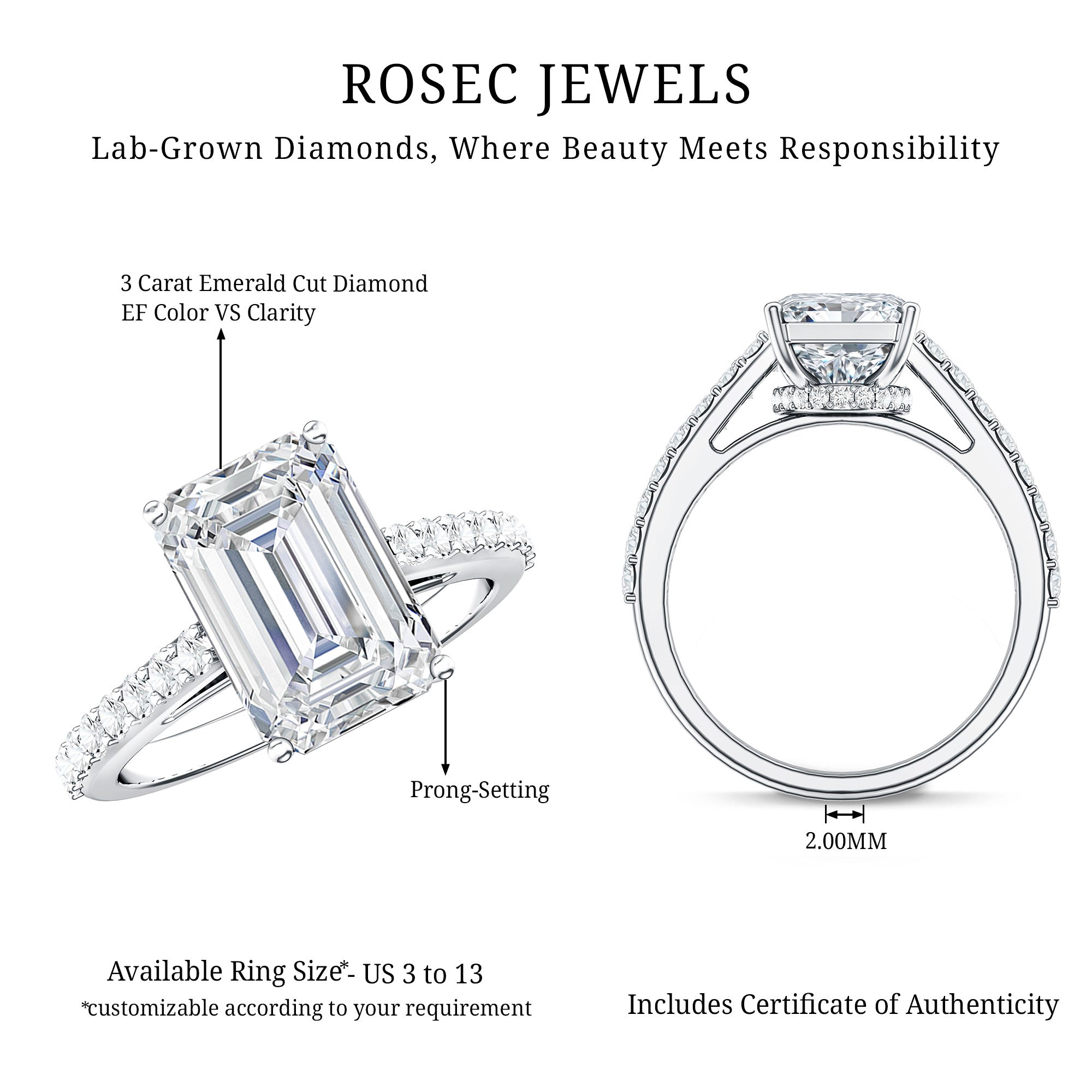 Emerald Cut Lab Grown Diamond Hidden Halo Engagement Ring 3 Carat IGI Certified Lab - ( E-VS1 ) - Rosec Jewels