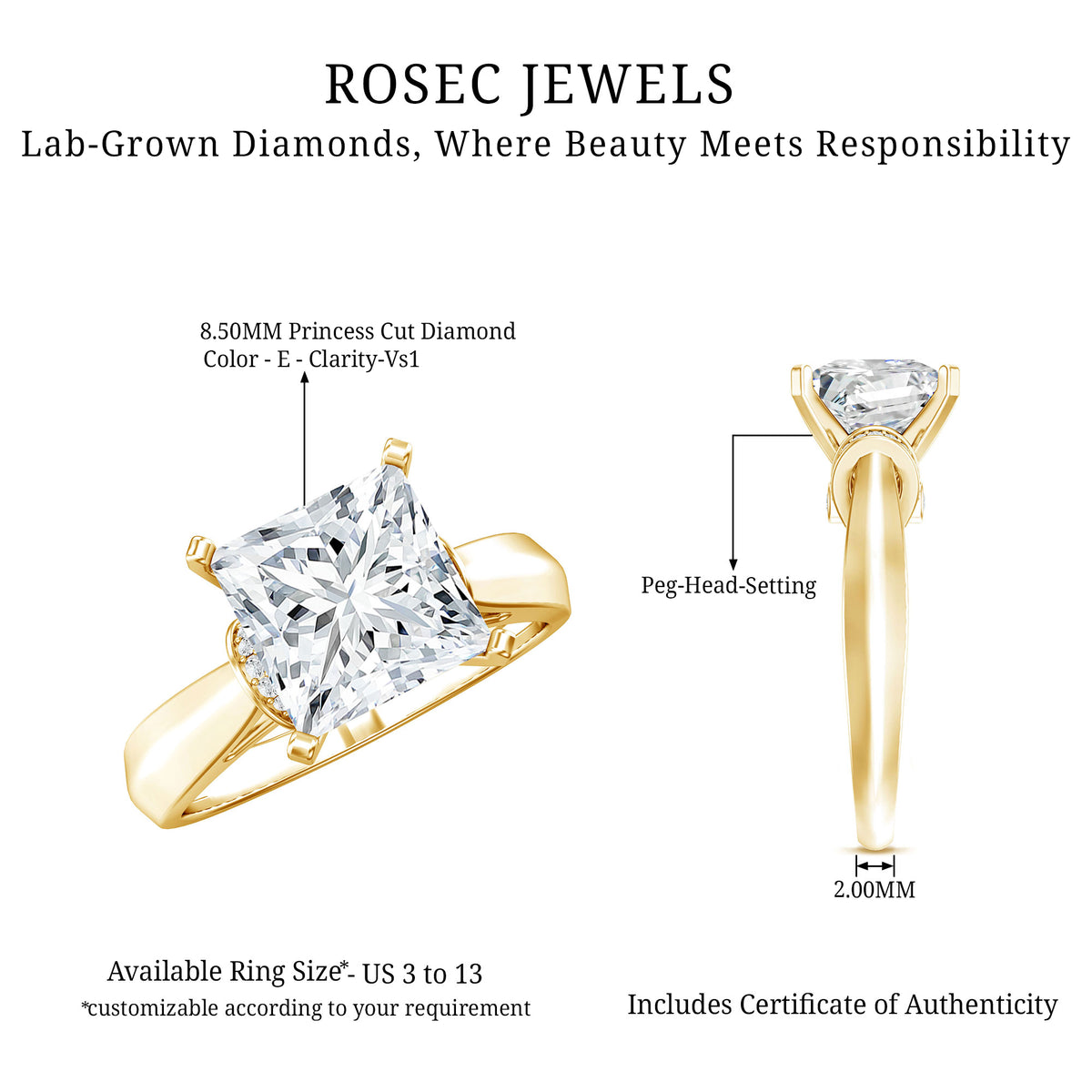Lab Grown 4 Carat Diamond Princess Cut Engagement Ring with IGI Certificate Lab - ( E-VS1 ) - Rosec Jewels