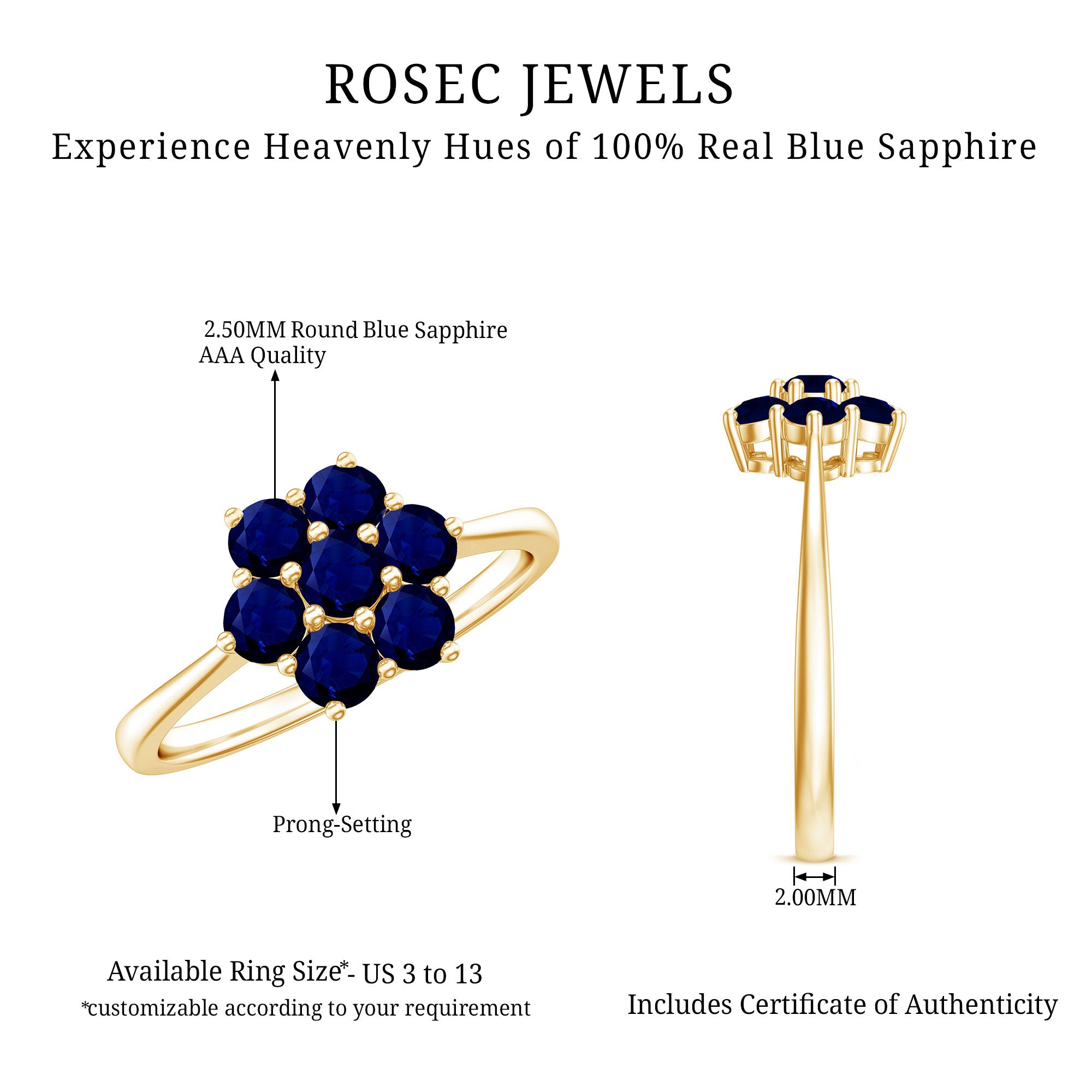 1 CT Round Shape Blue Sapphire Cluster Flower Ring AAA - Rosec Jewels