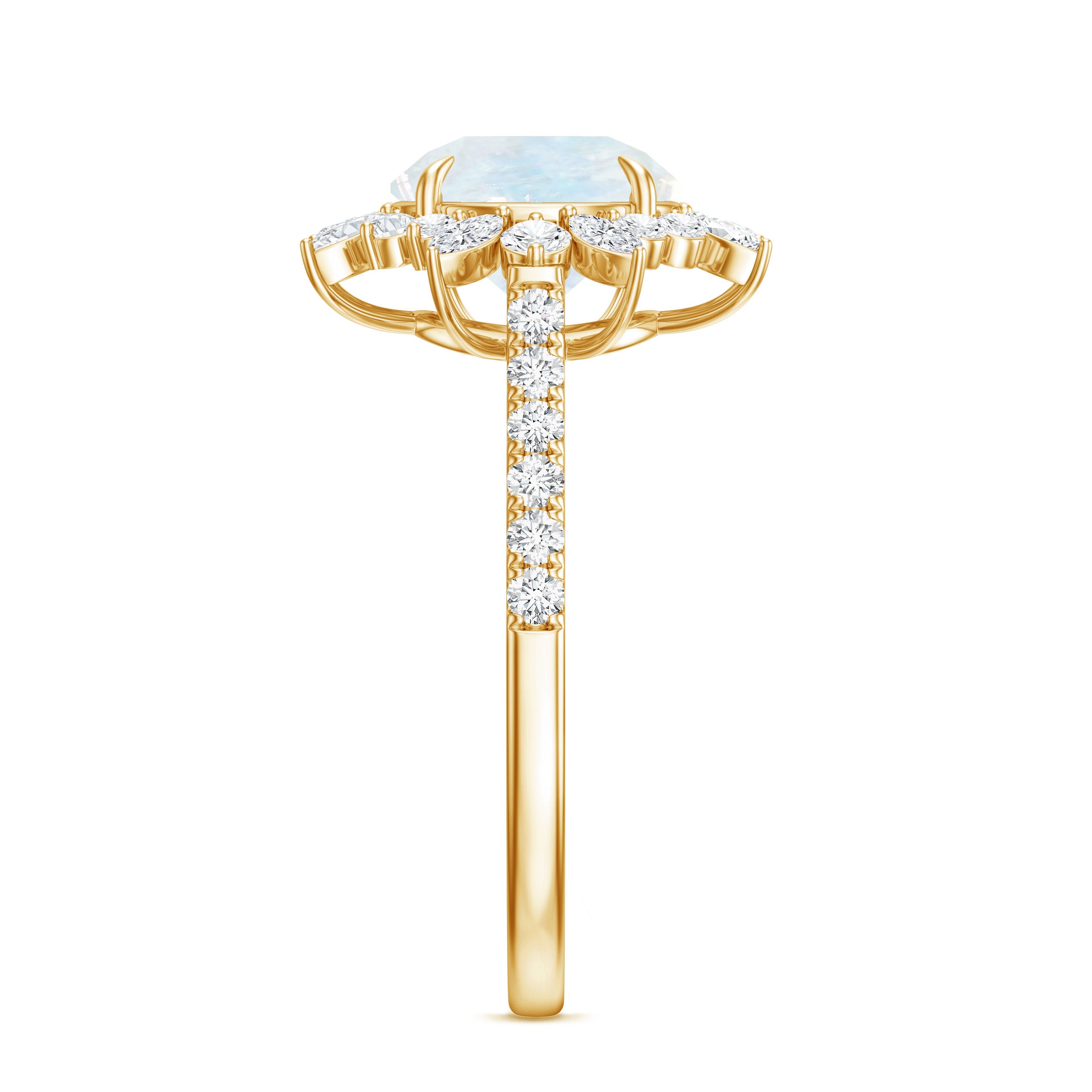 Round Moonstone Statement Ring with Moissanite Floral Halo AAA - Rosec Jewels