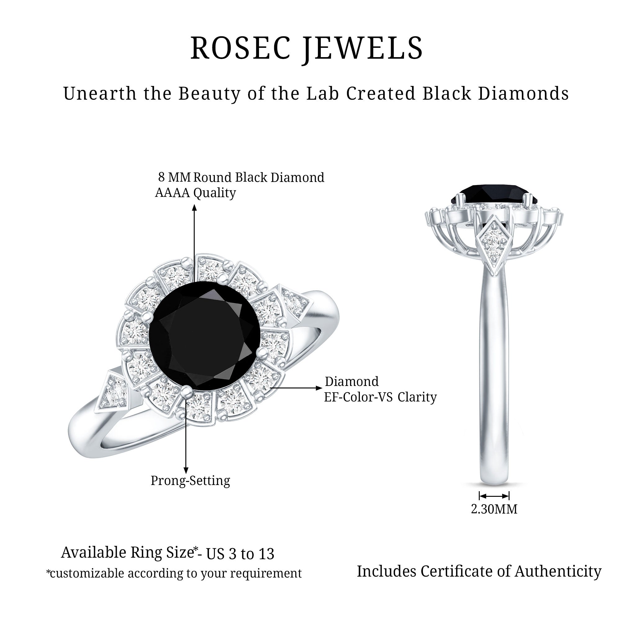 Rosec Jewels-Certified Lab Grown Black Diamond Engagement Ring with Diamond Accent