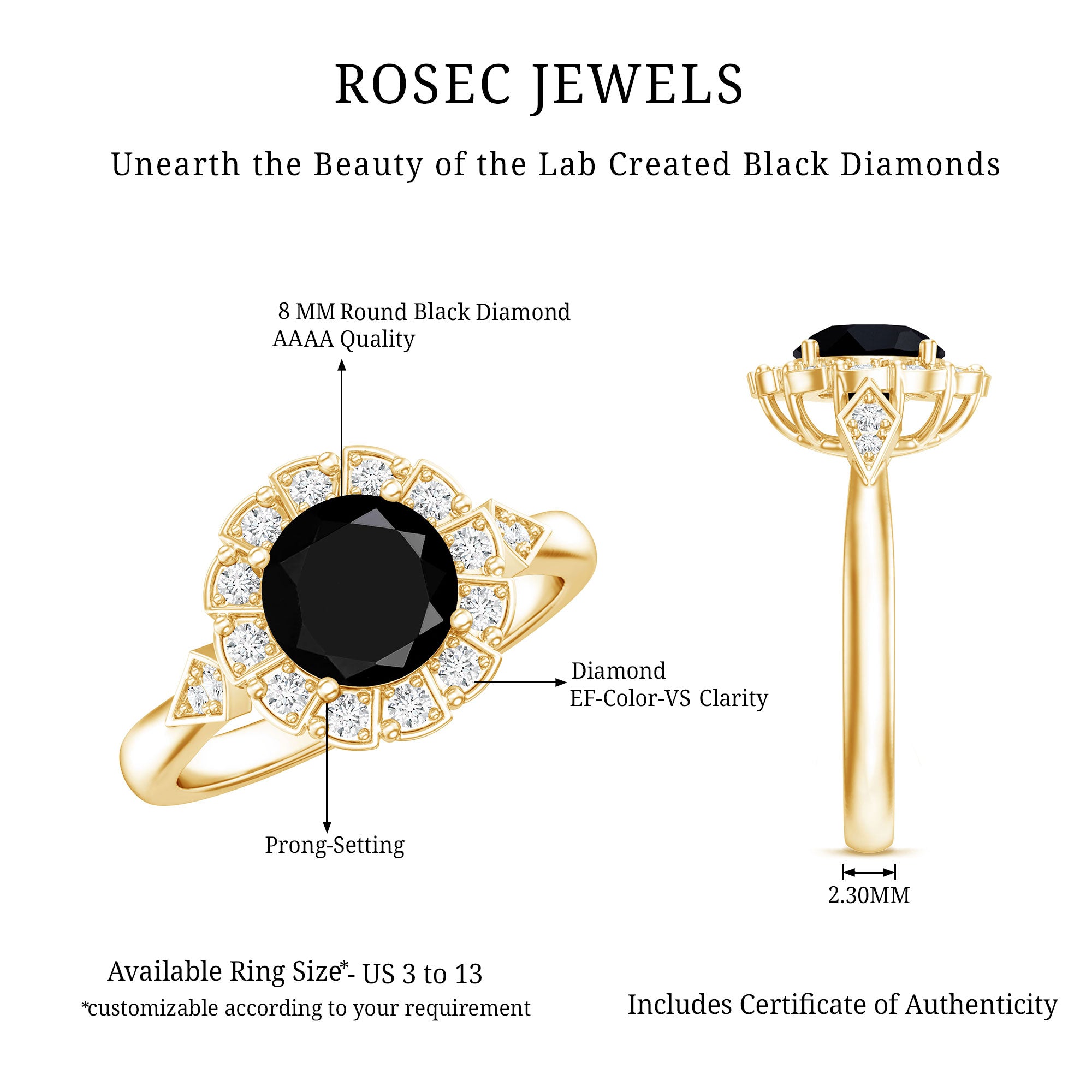 Certified Lab Grown Black Diamond Engagement Ring with Diamond Accent AAAA ( Synthetic ) - Rosec Jewels
