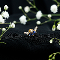 Natural Blue Sapphire Ear Crawler Earring AAA - Rosec Jewels