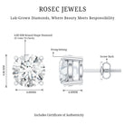 IGI Certified 2 Carat Round Lab Grown Diamond Stud Earrings with Screw Backs Lab - ( E-VS1 ) - Rosec Jewels