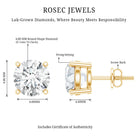 IGI Certified 2 Carat Round Lab Grown Diamond Stud Earrings with Screw Backs Lab - ( E-VS1 ) - Rosec Jewels