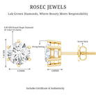 Rosec Jewels-IGI Certified 2 Carat Lab Grown Diamond Solitaire Stud Earrings