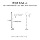 Rosec Jewels-Lab Grown Diamond Long Dangling Earrings