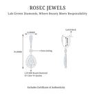 Rosec Jewels-Lab Grown Diamond Bridal Drop Earrings
