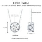 IGI Certified 3 Carat Lab Grown Diamond Solitaire Necklace for Women Lab - ( E-VS1 ) - Rosec Jewels