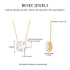 Rosec Jewels-Certified Lab Created Diamond Halo Necklace For Bride