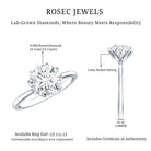 IGI Certified 2 Carat Lab Grown Diamond Lotus Engagement Ring Lab - ( E-VS1 ) - Rosec Jewels