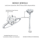 Rosec Jewels-Lotus Basket Set Lab Grown Diamond 3 Carat Engagement Ring with IGI Certificate