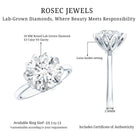 Rosec Jewels-IGI Certified 4 CT Lab Grown Diamond Lotus Engagement Ring
