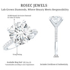 Rosec Jewels-Lab Grown 4 Carat Diamond Solitaire Engagement Ring with IGI Certificate
