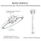 Rosec Jewels-IGI Certified Lab Grown Diamond Three Stone Engagement Ring