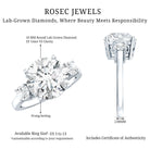 Rosec Jewels-Lab Grown Diamond 3 Stone Engagement Ring With IGI Certificate