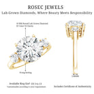 Rosec Jewels-Lab Grown Diamond 3 Stone Engagement Ring With IGI Certificate