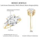 IGI Certified 3 CT Lab Grown Diamond Engagement Ring Lab - ( E-VS1 ) - Rosec Jewels