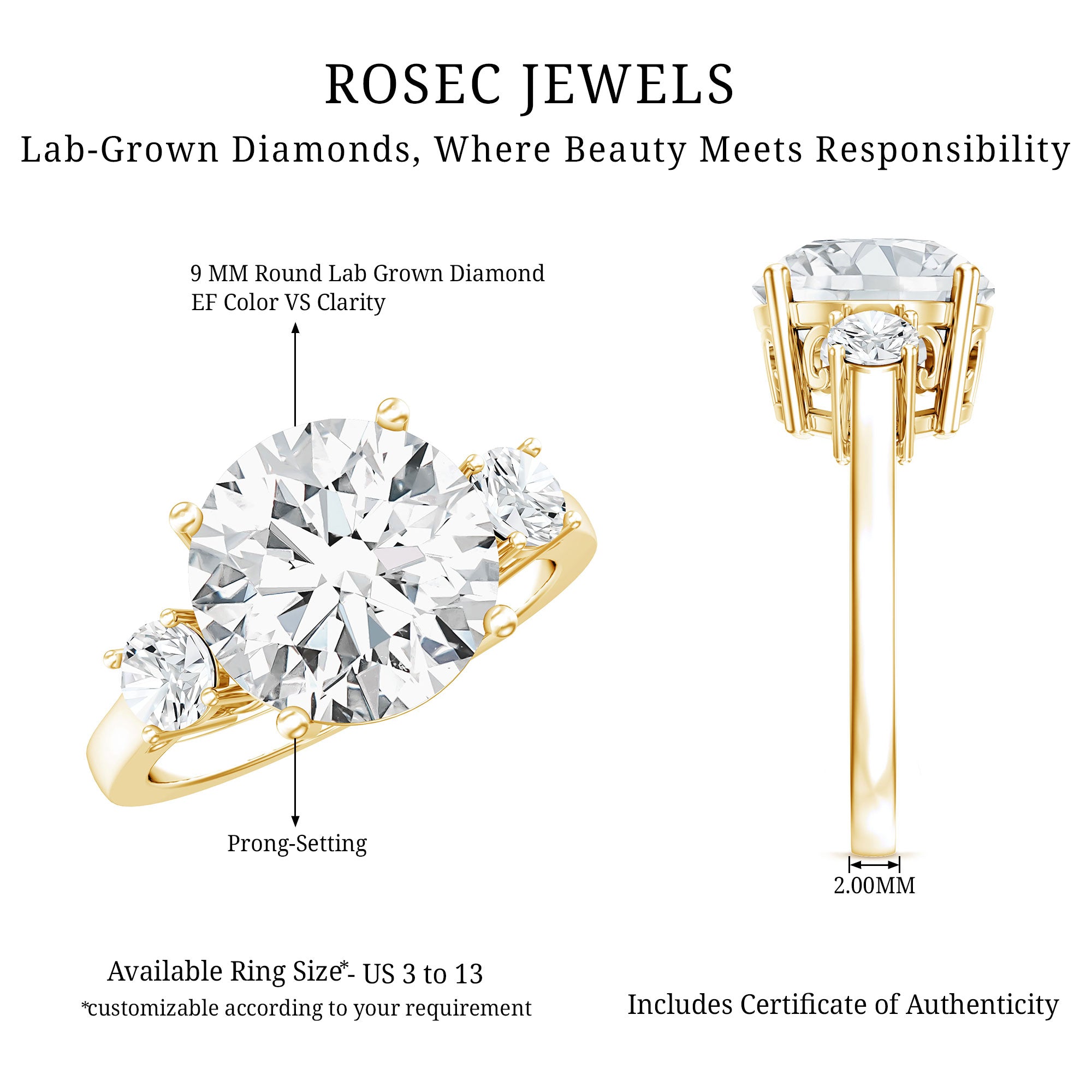 IGI Certified 3 CT Lab Grown Diamond Engagement Ring Lab - ( E-VS1 ) - Rosec Jewels