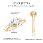 Moissanite Three Stone Round Engagement ring D-VS1 - Rosec Jewels