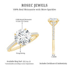 Certified Moissanite Round Cut Solitaire Ring with Side Stones D-VS1 - Rosec Jewels