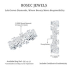 Certified Lab Grown Diamond Designer Wedding Eternity Ring Lab - ( EF-VS ) - Rosec Jewels