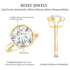 Rosec Jewels-IGI Certified 5 Carat Lab Grown Diamond Bezel Set Engagement Ring