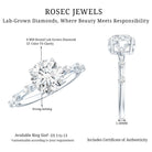 Rosec Jewels-IGI Certified Lab Grown 2 CT Diamond Engagement Ring with Side Stone
