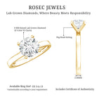 Rosec Jewels-IGI Certified Lab Grown Round Diamond Solitaire Engagement Ring