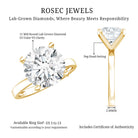 Rosec Jewels-IGI Certified 5 CT Lab Grown Diamond Big Engagement Ring