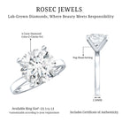 4 CT IGI Certified Lab Diamond Timeless Engagement Ring Lab - ( E-VS1 ) - Rosec Jewels