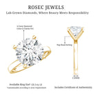 4 CT IGI Certified Lab Diamond Timeless Engagement Ring Lab - ( E-VS1 ) - Rosec Jewels