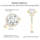 5 Carat Round Lab Grown Diamond Engagement Ring with IGI Certified Lab - ( E-VS1 ) - Rosec Jewels