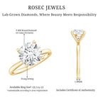Certified 2.5 CT Lab Grown Diamond Solitaire Engagement Ring Lab - ( EF-VS ) - Rosec Jewels