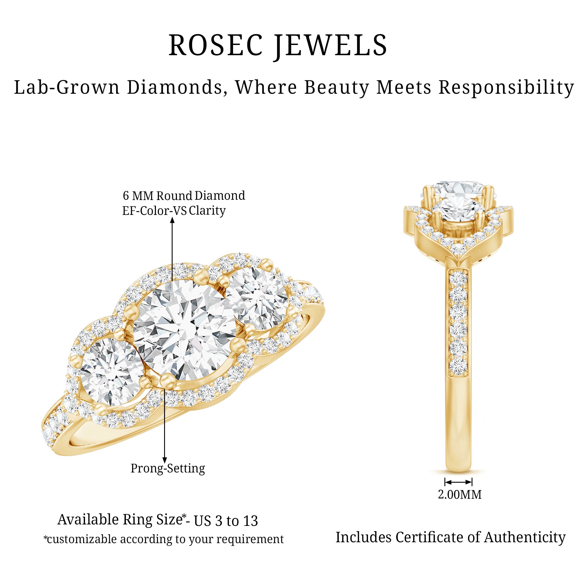 Certified Lab Grown Diamond 3 Stone Engagement Ring Lab - ( EF-VS ) - Rosec Jewels