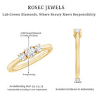 Rosec Jewels-Lab Grown Diamond Minimal 3 Stone Engagement Ring