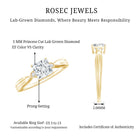 5 MM Princess Cut Lab Grown Diamond Solitaire Promise Ring Lab - ( EF-VS ) - Rosec Jewels