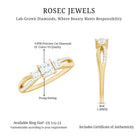 Rosec Jewels-Lab Grown Diamond Three Stone Promise Ring With Split Shank