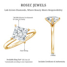 Solitaire 2 Carat Lab Grown Diamond Princess Cut Engagement Ring IGI Certified Lab - ( EF-VS ) - Rosec Jewels